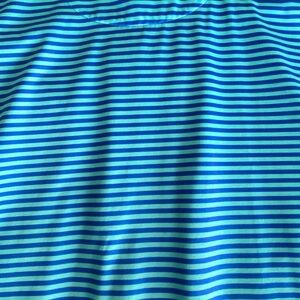 Blue Striped Polo Shirt
